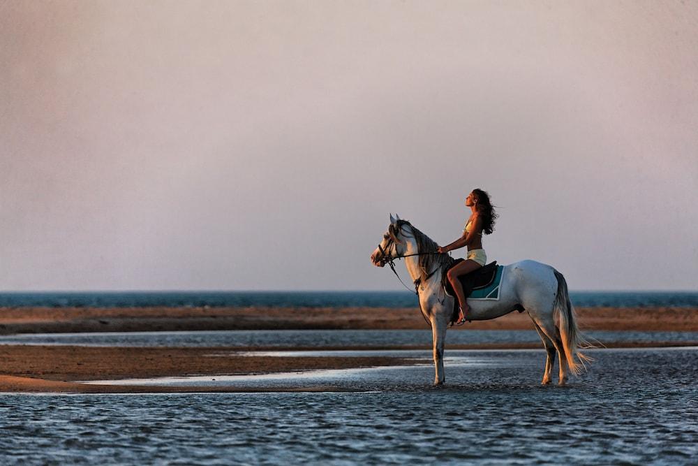 Dawar El Omda (Adults Only) Hotell El Gouna Exteriör bild
